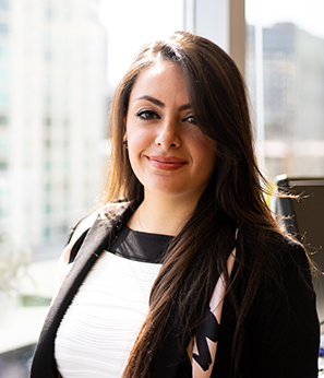 Profile image for Menzer Pehlivan, PhD, PE